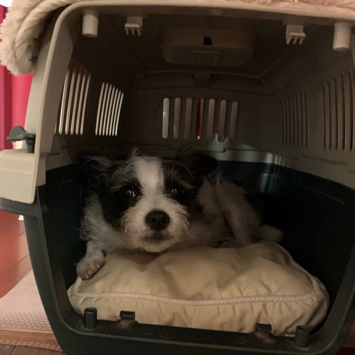 12481ae0 7edc 4ffb 9635 6b0881c1eb7d 1569595177229