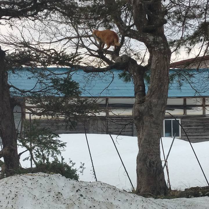 12481bce dcb2 4ed8 af97 c8b5ac083fca 1677711538368