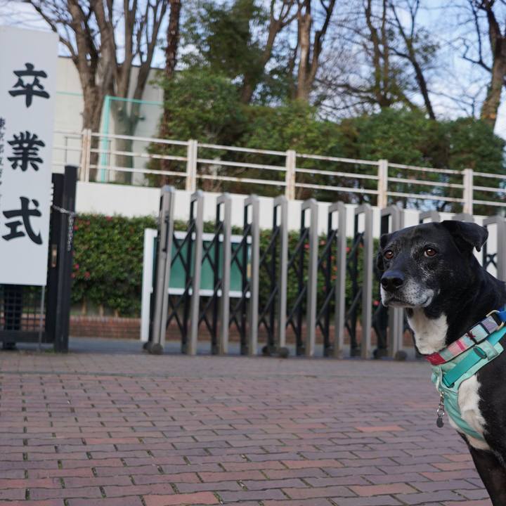 12482299 c2e2 4e7f 95fd 07cf4914c1cd 1772756998208