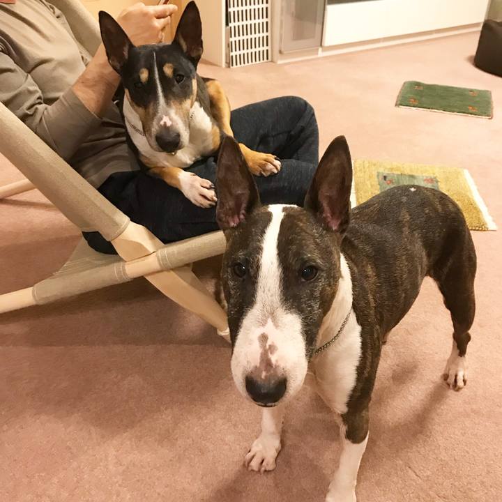 124853f6 7e53 4900 9a69 c3c24e17248a 1523015063552