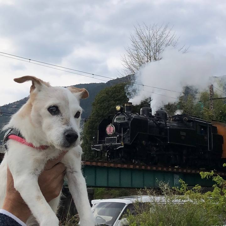 12485f17 0692 4aa1 99d5 ae2165df59ba 1616852286262