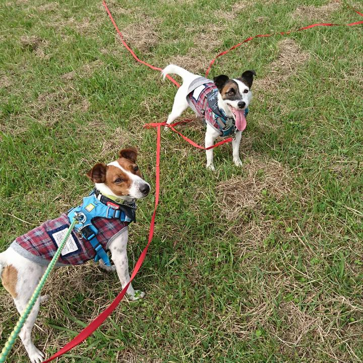 12486028 6d0d 457e 8146 d0effc5a1cbe 1601695355704