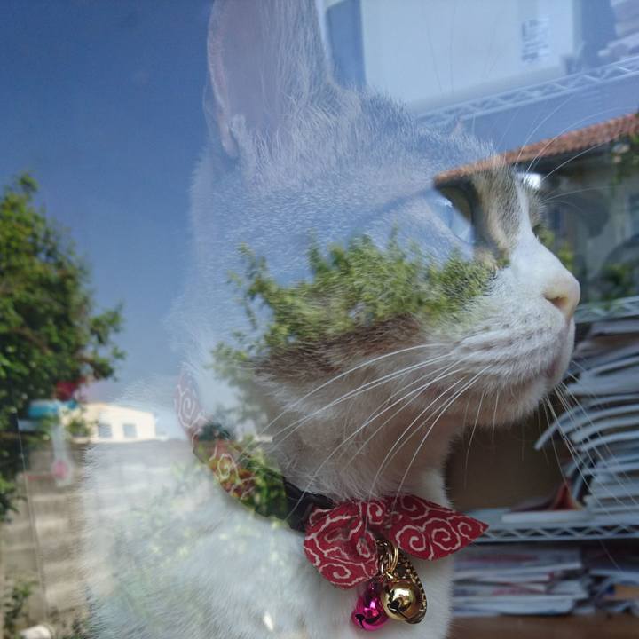 12486e18 cfea 4836 b278 45f3f170b7d4 1526342009291