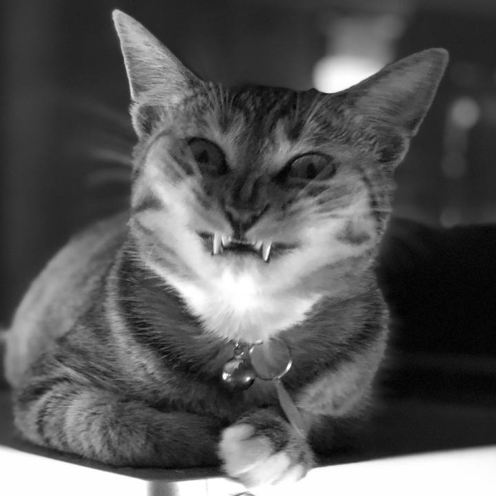 1248707b c966 449f 976a 61f5e4830e9f 1572534035453