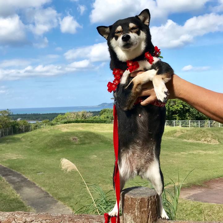 1248a507 4f27 4c4e b34c add617080083 1514953389098