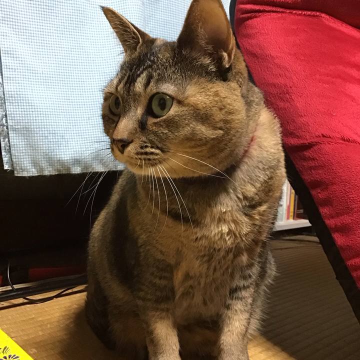 1248b84a a240 4416 aaaf baa8597d678f 1742300576864