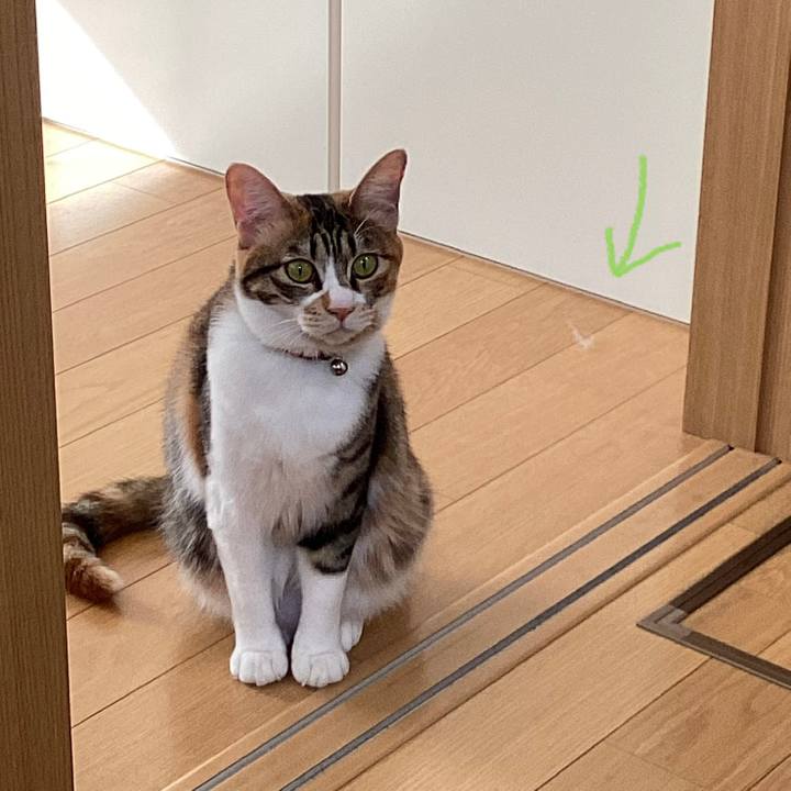 1248befd 25e6 4875 9ba0 34cd3ea5bc6d 1676352443165