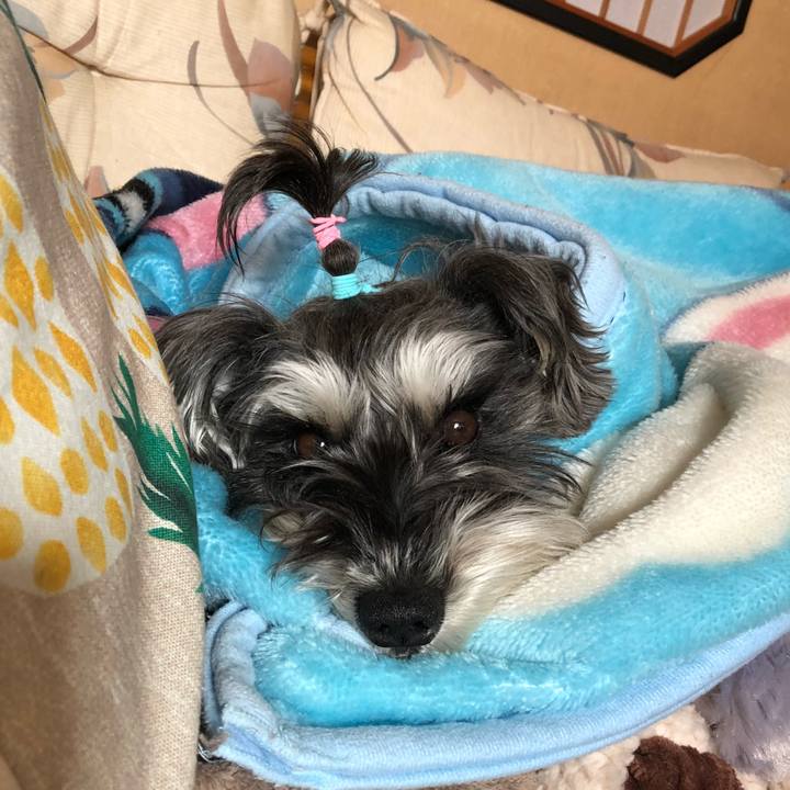 1248d27b 1d8c 4385 be55 5ffb11d65158 1518586672248