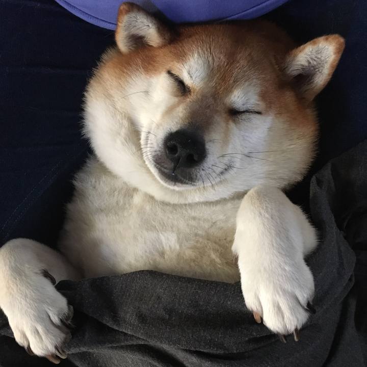 1248dd3c f8e8 4421 981e d8aa001502d7 1629437660805