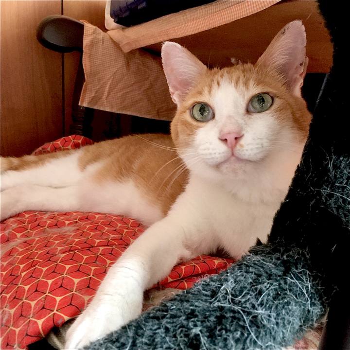 1248e1de f6ad 40c7 909d 669e2551c248 1599549546877