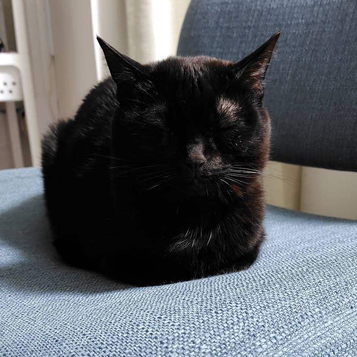 124904c8 c096 4d6f b866 62b67762d99c 1771932842951