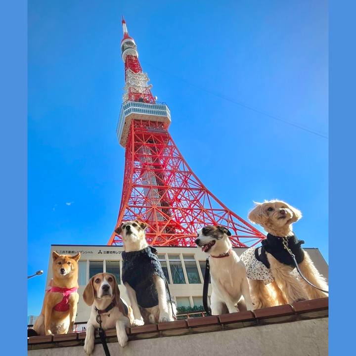 12492315 1576 4cec 8c54 f736bc86a1dc 1673053243015