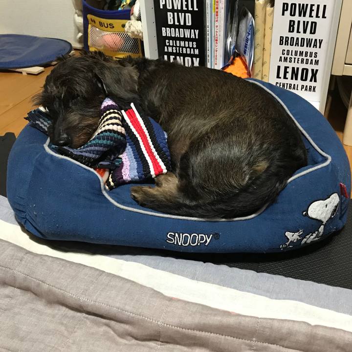 12492dc2 9115 4831 9e4b 0fc280bde5ad 1537024806989