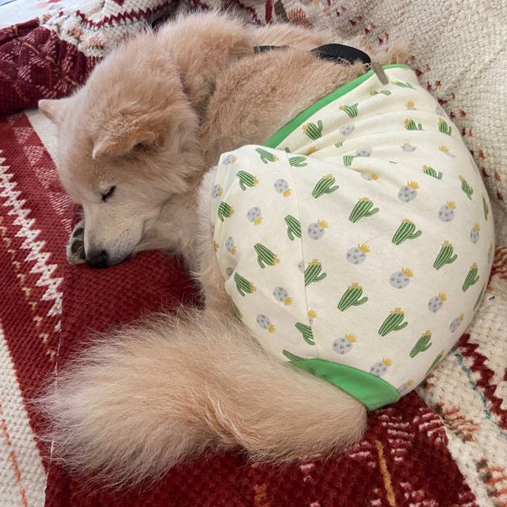 12493025 f159 4fa2 82af 330f738f0308 1670507261755