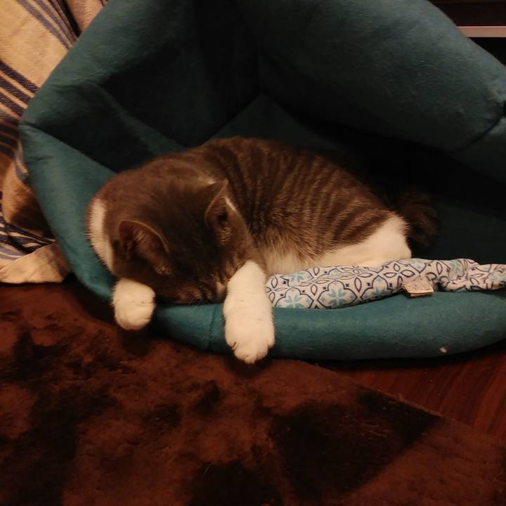 12493bef b2f7 43d2 b5d3 aa649a25f44d 1583974871183