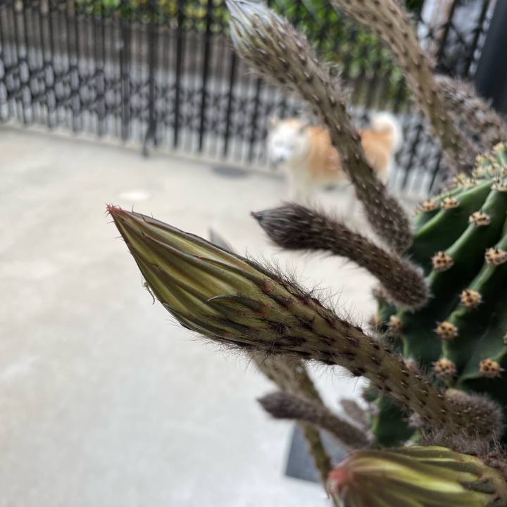 124970d1 54a4 4459 815c 0176d92cc7fd 1653100769397