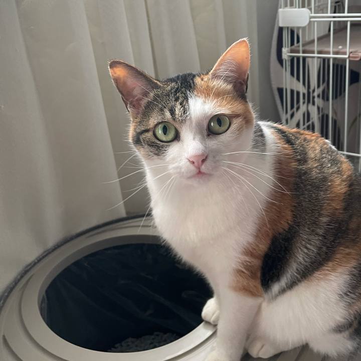 124996c5 aac6 4d2f b8f3 c5e5cd4496a0 1618541908413