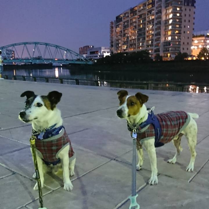 1249aa49 7fbc 4362 81b7 f9050ba44a1e 1595763246269