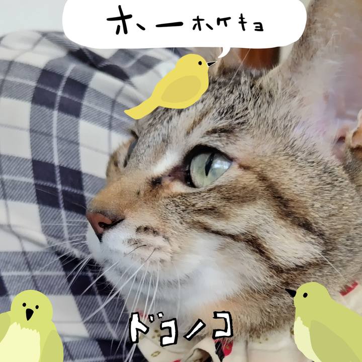 1249d599 728c 479e a367 3f4337470e4d 1711338186659
