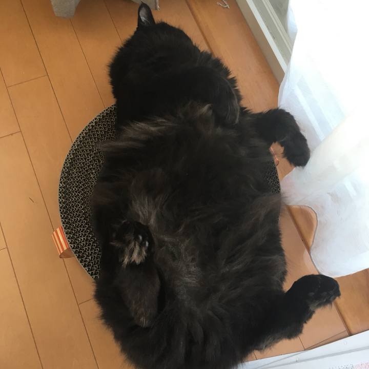 1249e112 5fc1 4b2d a32a 0b856b18ebb9 1528244362711