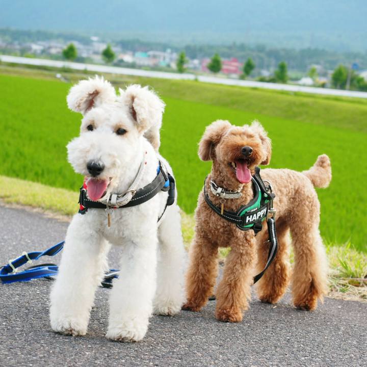 1249f854 b123 4ff8 9abf 6fc82cc29f59 1530112116099