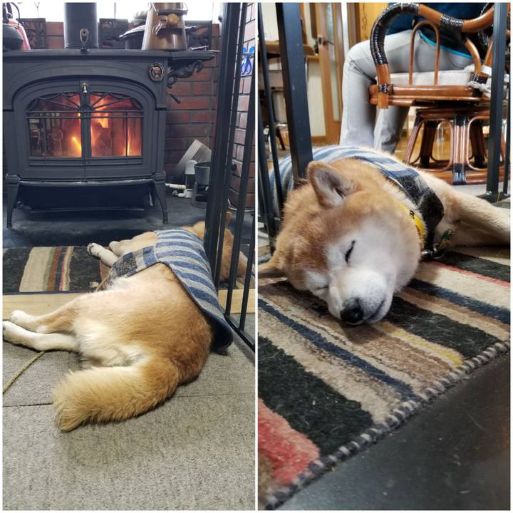 124a2959 060b 41a6 9ed1 2e214dc22a72 1676246271449