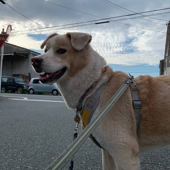 124a303a e121 430e a175 5c2102a5c503 1569823324421