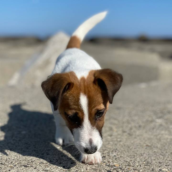 124a6479 a5f1 47e3 a1a3 57ba464d569a 1618102191429