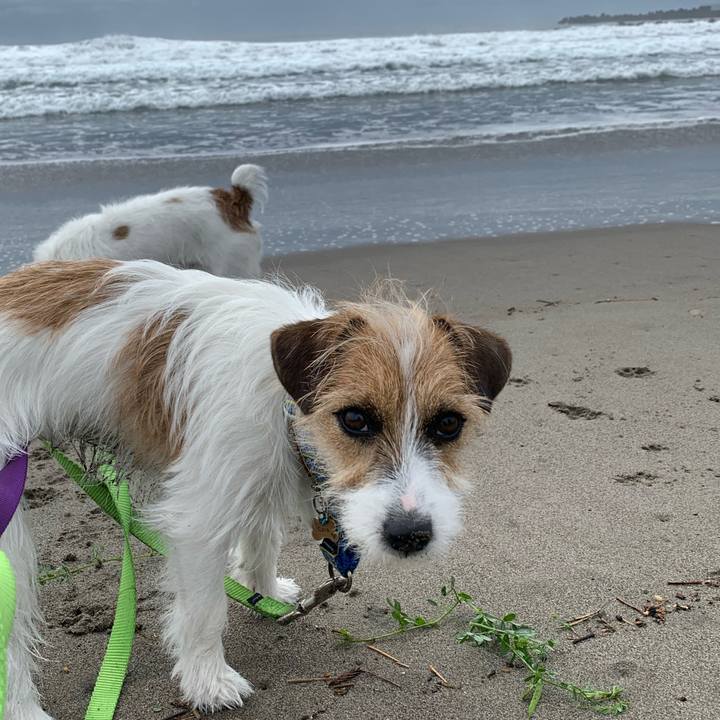 124a6fbe a2a5 414a 8332 be3f5a2bbf19 1776259971503