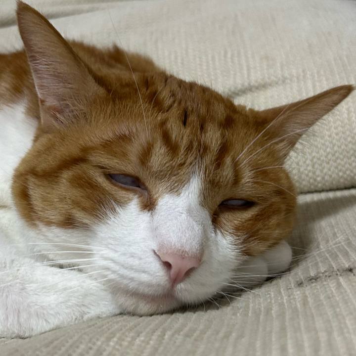 124ab86c a73a 4447 9cbd 256f92c58cf1 1758719169511