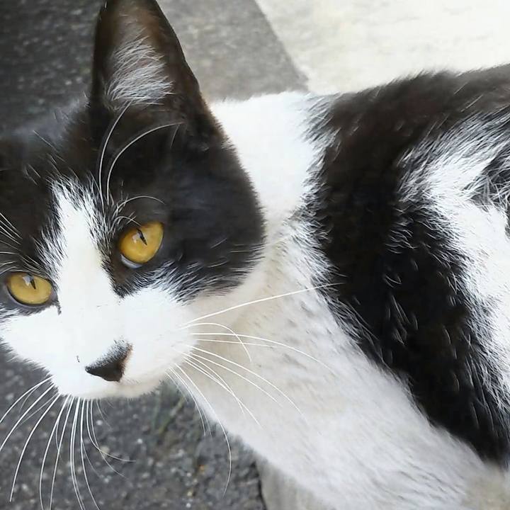 124ac03e bb78 4992 b8d1 f7a156f3ed40 1555239291187