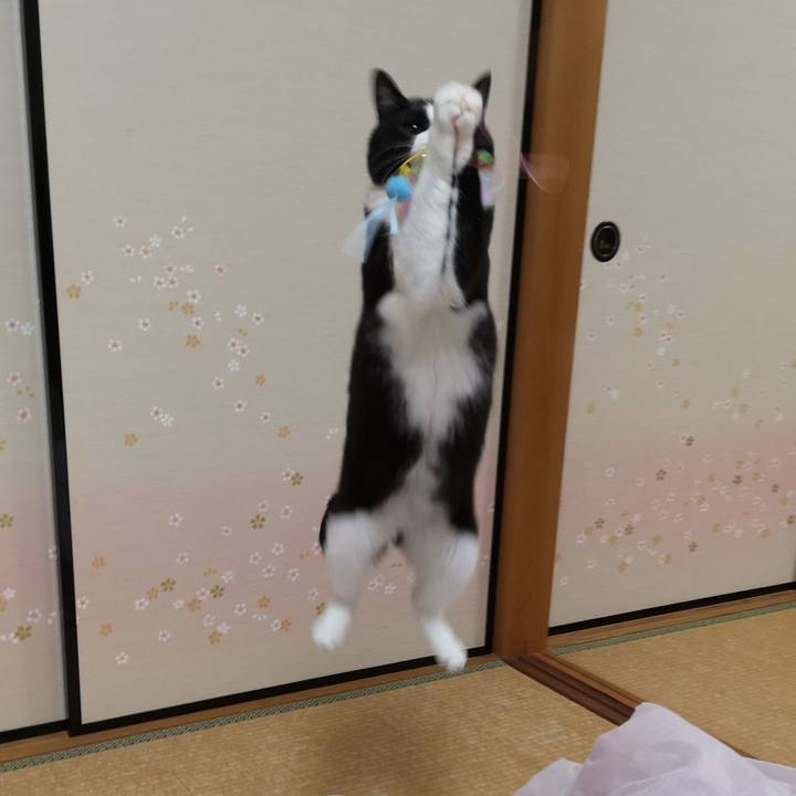 124ad641 9fc6 4bbd ab04 8d461e3b6206 1592402368796