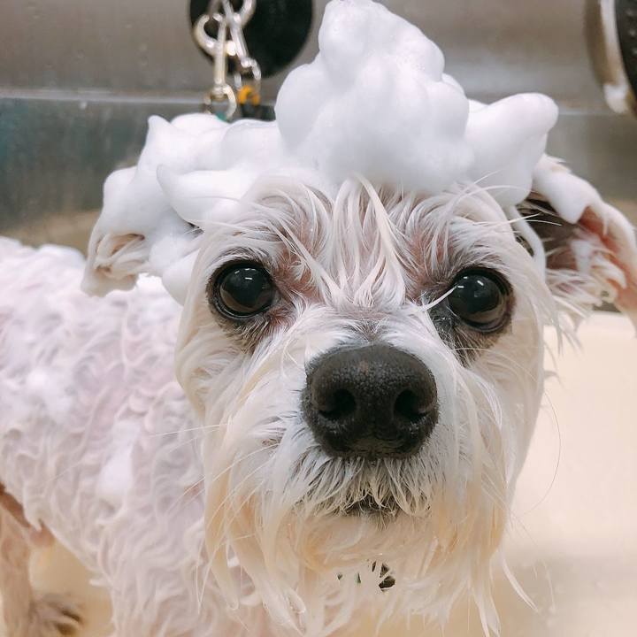 124b2784 f322 427f 8037 38b0c0989fe1 1639999275733