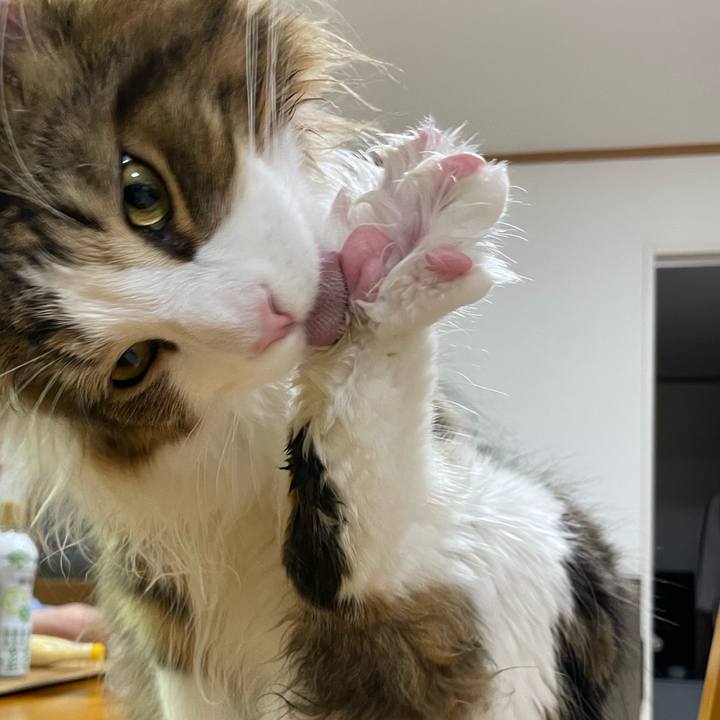 124b578a 8647 40b3 bbba 2ceb9827832b 1650367123715