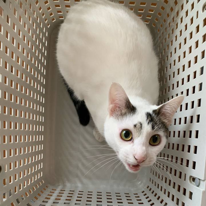 124baa9f 2cfd 4a93 9cb8 82e49f7b39b4 1617666457449