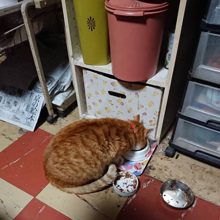 124bd293 596c 4361 bde6 33cfc211fb1c 1577476464037