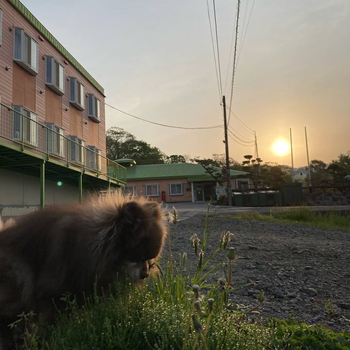 124bf03b cf8c 4379 ade5 c45af97a7a6e 1684441818972