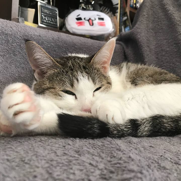 124bfdbe 48b5 4c5e b23f ddf17d7dc0f4 1660439600232