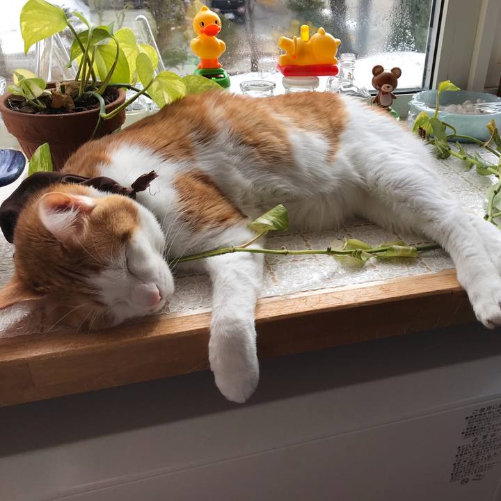 124c2831 6396 4a7a 91eb 44d4fddd7fdb 1553932138822