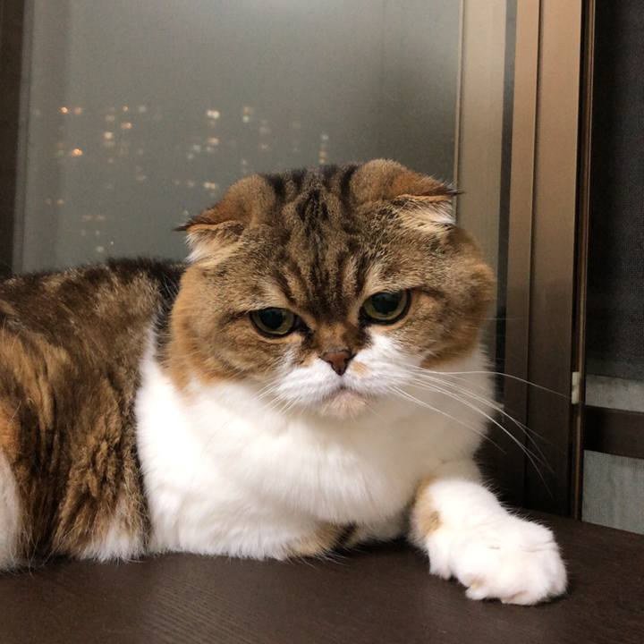 124c4806 46fd 4ad0 b9a1 a4f6d3b85c7b 1537178513936