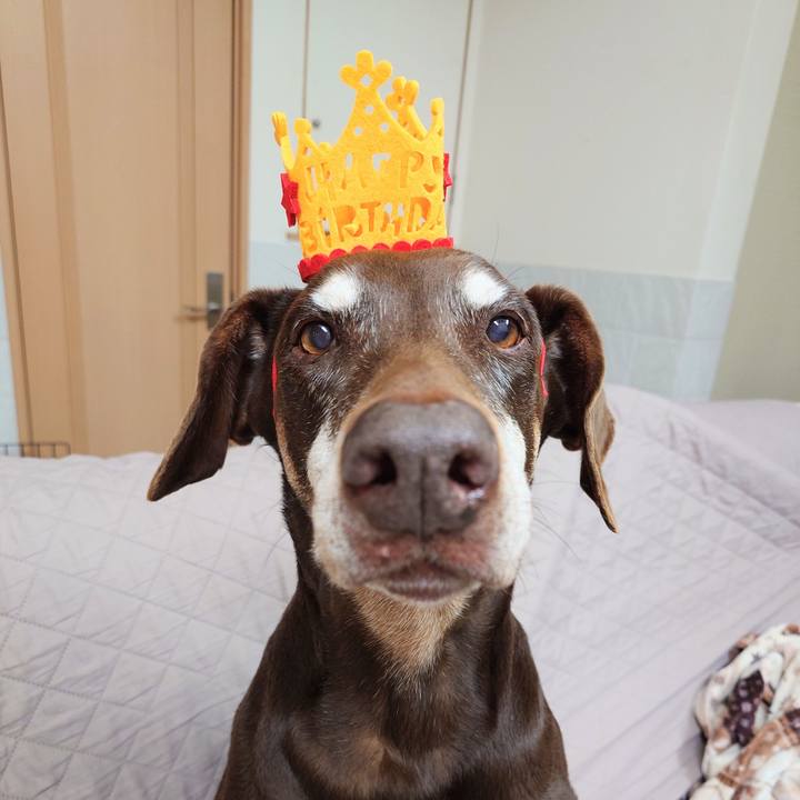 124c5da9 b7e4 46ca 94b6 fe769194d1ff 1772711126876