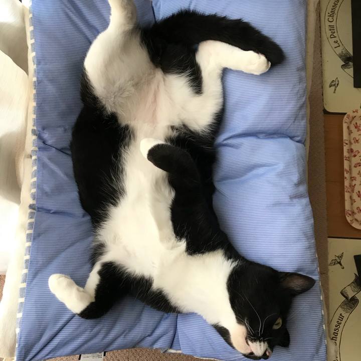 124c75b4 6b88 4061 a6f3 40e2913d1c4c 1530488252607