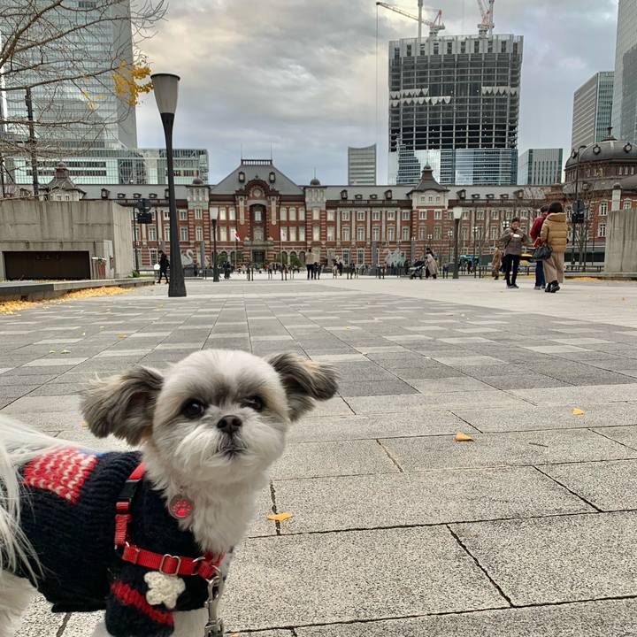 124c76cf 98f3 45ff 801d 481b38ad1a05 1608357239410