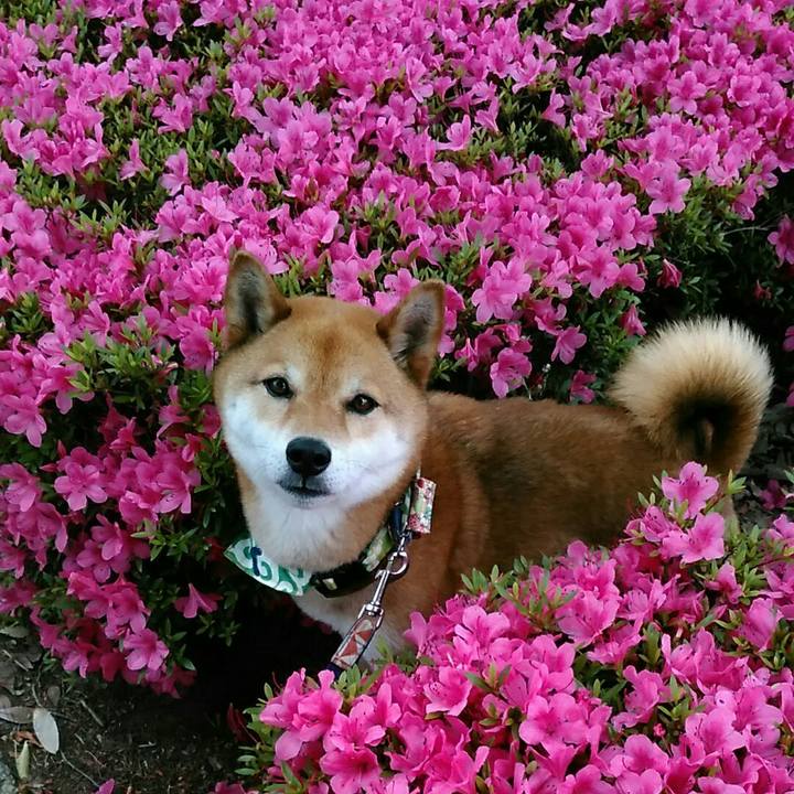 124c77ff 7880 4d2e 8cb9 22ad417de9a1 1559866151205