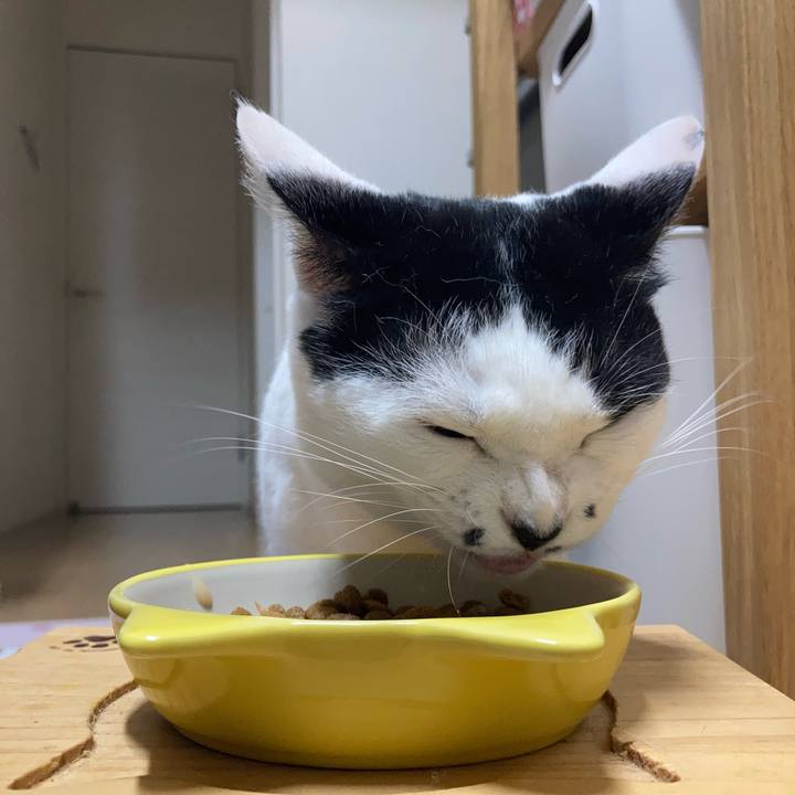 124c8bae 5e00 456d 8052 ef03ba1e61f6 1758487392680