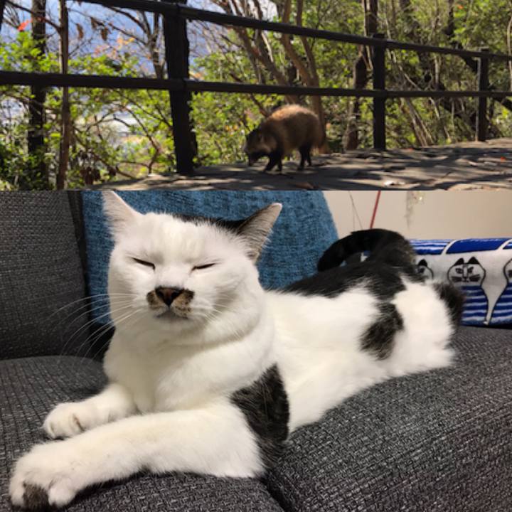 124cec32 0695 4f3b 8c3e 8a658ba88241 1544587666394