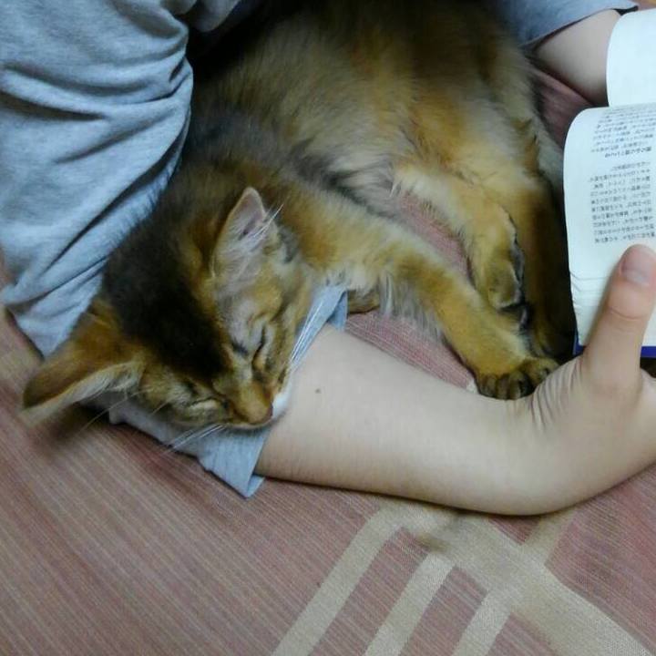 124d156c 8510 4e5a 81c7 f38c80b00cba 1573077431108