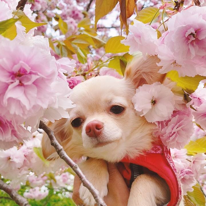 124d26f1 60f5 4309 a6e3 38e29be4eb36 1617957072694