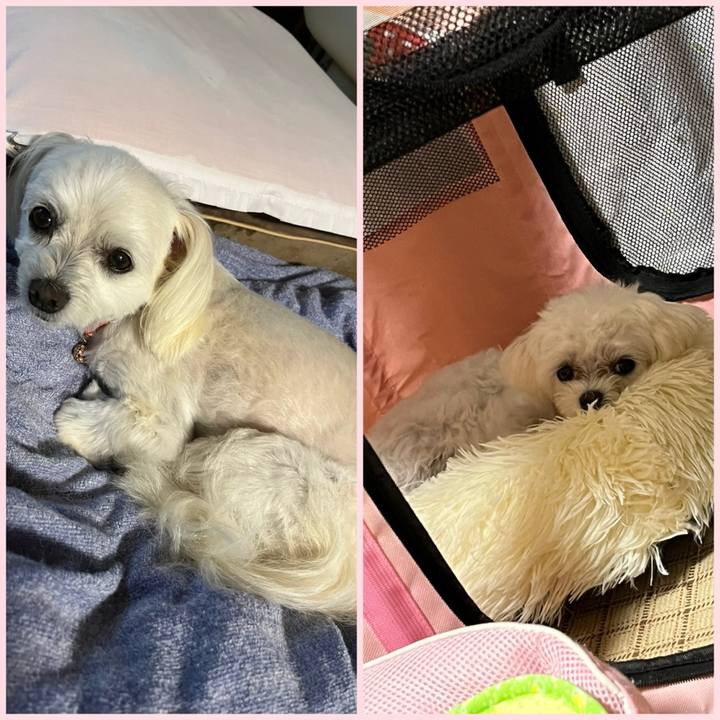 124d27d6 ae05 4fa9 a292 3c1f952c1ac5 1719143210266