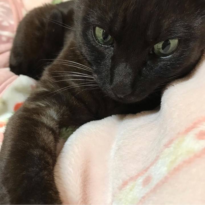 124d37cb 86a5 4be6 9786 3458fe98ef0d 1614295538939